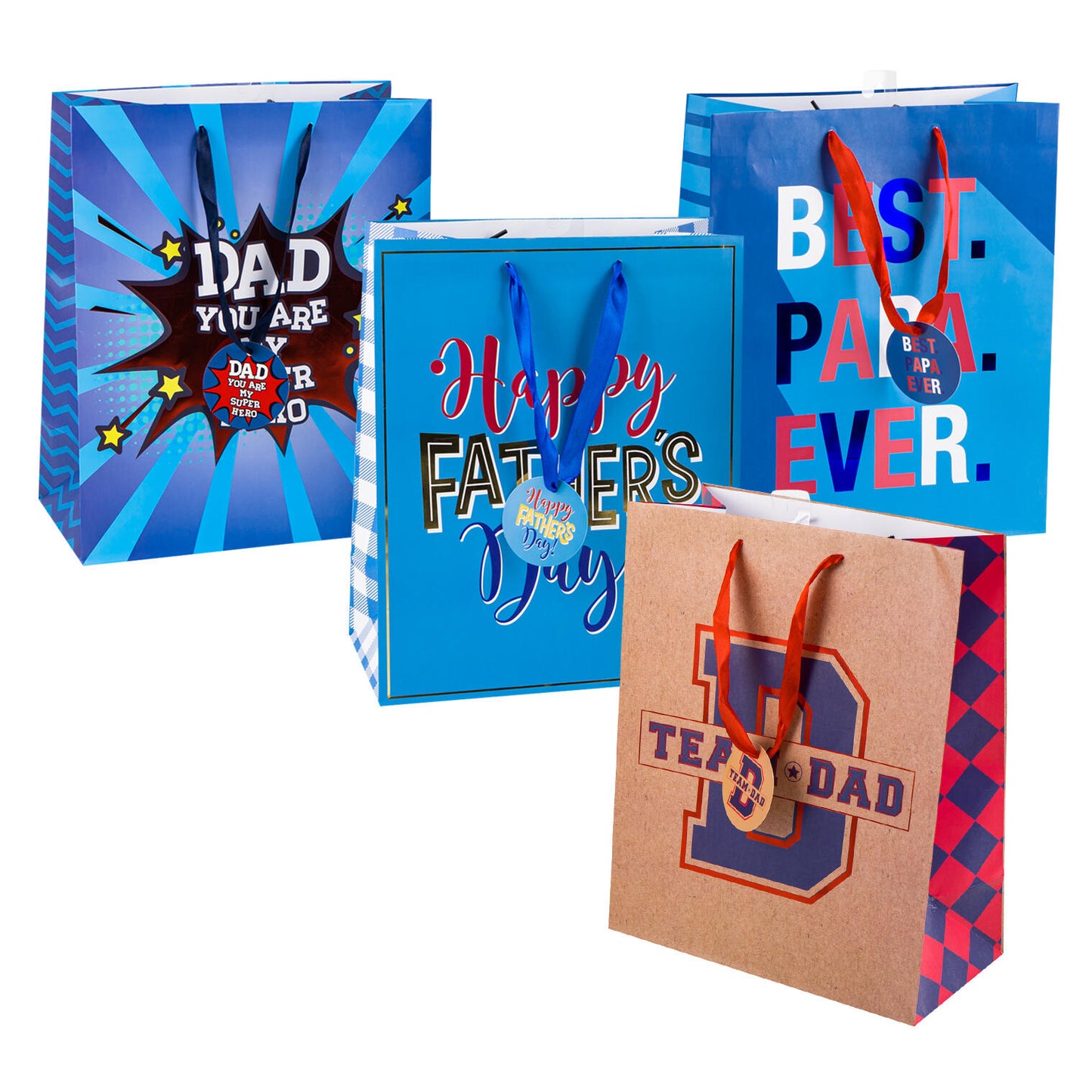 Father's Day Gift Bag, Large, Assorted Colors