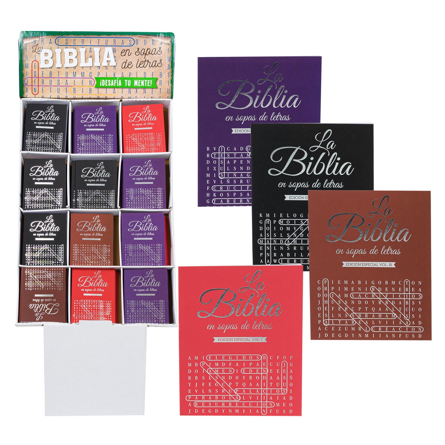 Vision St. The Bible Spanish Word Search Special Edition Assorted